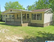 1014 Pine Grove Road, Sylacauga image