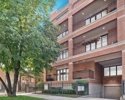 841 W Grace Street Unit #1N, Chicago