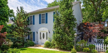 8301 1st   Avenue, Vienna