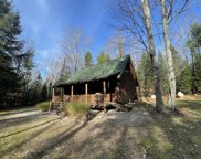 15792 Bull Run Trail, Wolverine image