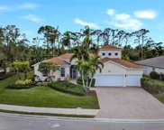 23343 Olde Meadowbrook Cir, Estero image