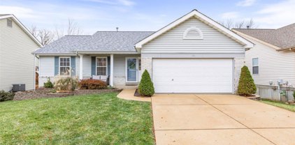 806 Top Notch  Lane, Eureka