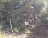 Backwoods Trail, Evergreen image