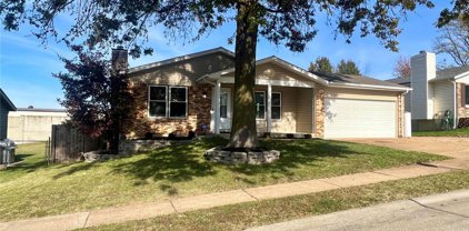 12135 Josephine Marie  Drive, Maryland Heights