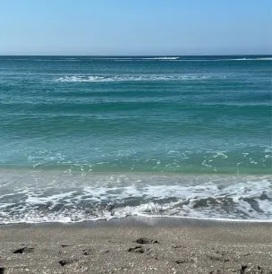 Beachfront & Beach-View Homes