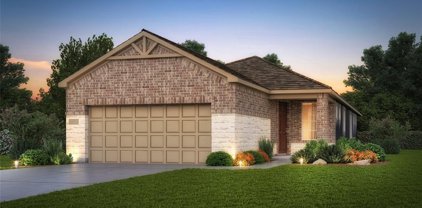 14338 Bluebonnet Bend Court, Willis