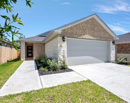 18544 Meadow Point Lane, Montgomery