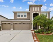 10760 Breaking Rocks Drive, Tampa image