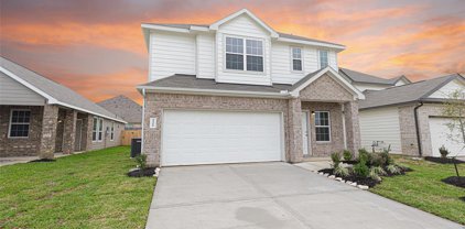 4466 Stephanie Park Lane, Conroe