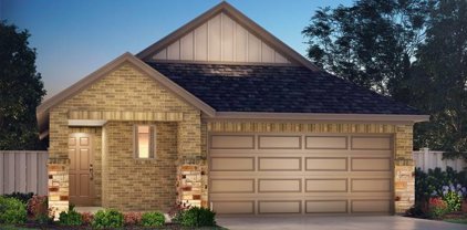 17487 Buckeye Branch, Conroe