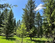 NHN Ocallahan Lane, Trout Creek image