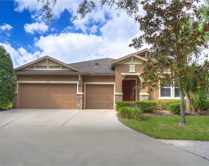 15649 Starling Water Drive, Lithia