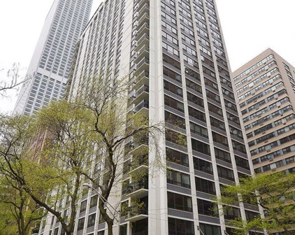222 E Pearson Street Unit #2205, Chicago