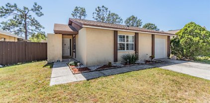 5104 Stonehaven Court, Tampa