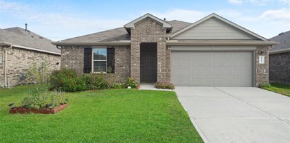 18281 Eaton Mill Drive, New Caney