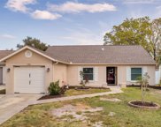 1900 Castle Bay Court, Oldsmar image