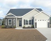 740 Hobonny Loop, Longs image