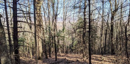 144 ac Whippoorwill Rd, Wytheville