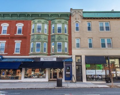 82 Elm St, Westfield Town