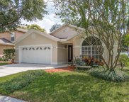 8738 Exposition Drive, Tampa image