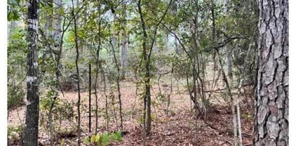 12801 Birch Lane, Plantersville