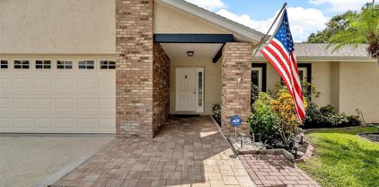 2628 Sunridge Circle, Palm Harbor