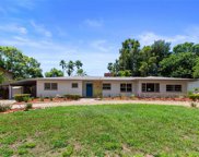 12500 Forest Hills Drive, Tampa image