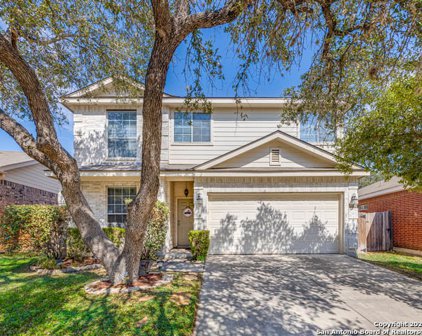 13730 Riverbank Pass, Helotes
