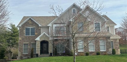 14784 Thornhill Terrace  Drive, Chesterfield