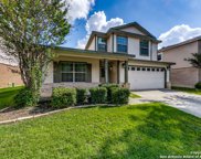 3907 Wisteria Way, San Antonio image