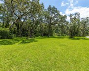 1119 W River Drive, Temple Terrace image