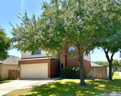 11035 Chicory Field, Helotes
