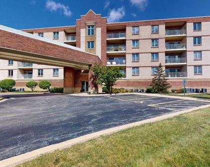 201 W Brush Hill Road Unit #101, Elmhurst