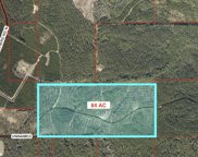 County Road 87 Unit Lot A, 84 ac, Robertsdale image