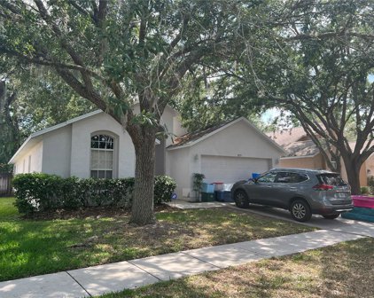 2519 Siena Way, Valrico