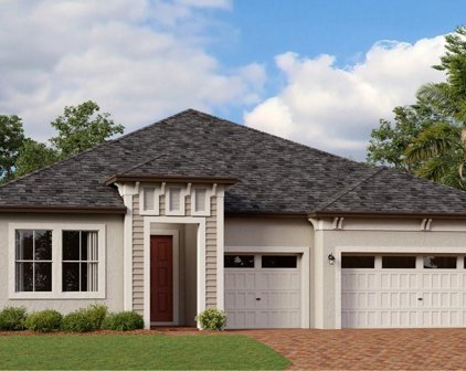 12768 Bergstrom Bay Drive, Riverview