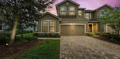11724 Meadowgate Place, Lakewood Ranch