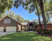 2562 Regal River Road, Valrico image