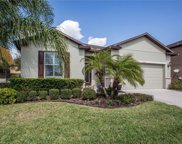 21315 Sorraia Cv, Mount Dora image