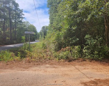 Lot 1 Cherry Tree Lane, Plantersville