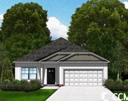 360 Palmetto Sand Loop, Conway image