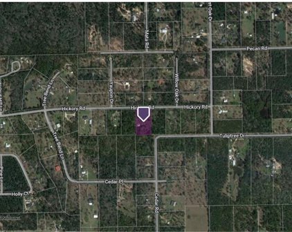 9028 Hickory Road, Plantersville