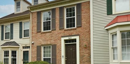 7685 Northern Oaks Ct, Springfield