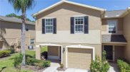 8007 Savannah Sunset Lane, Tampa image