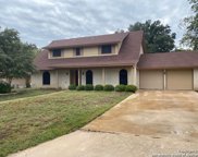 209 Gladiola Ln, San Antonio image