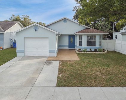 2207 Ridgemore Drive, Valrico