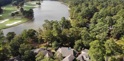1807 Woods Estates, Kingwood