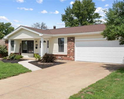 10047 Buffton  Drive, St Louis
