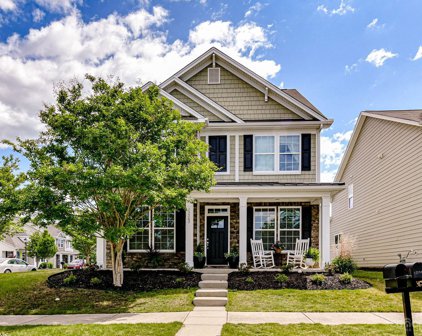 15703 Carley Commons  Lane, Davidson