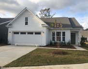 165 Collared Dove Court, Summerville image